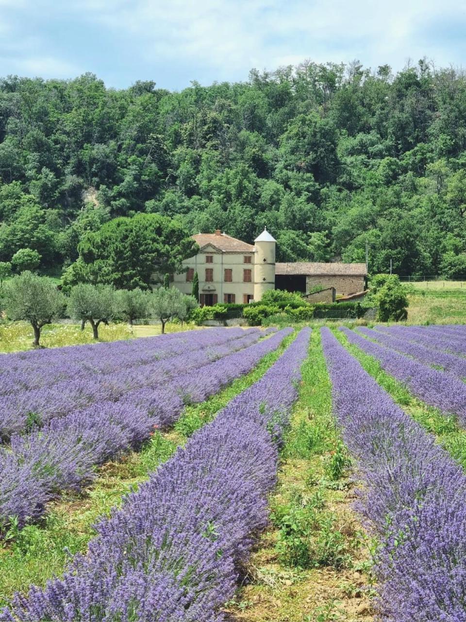 Domaine Des Balmes Βίλα Romans-sur-Isère Εξωτερικό φωτογραφία