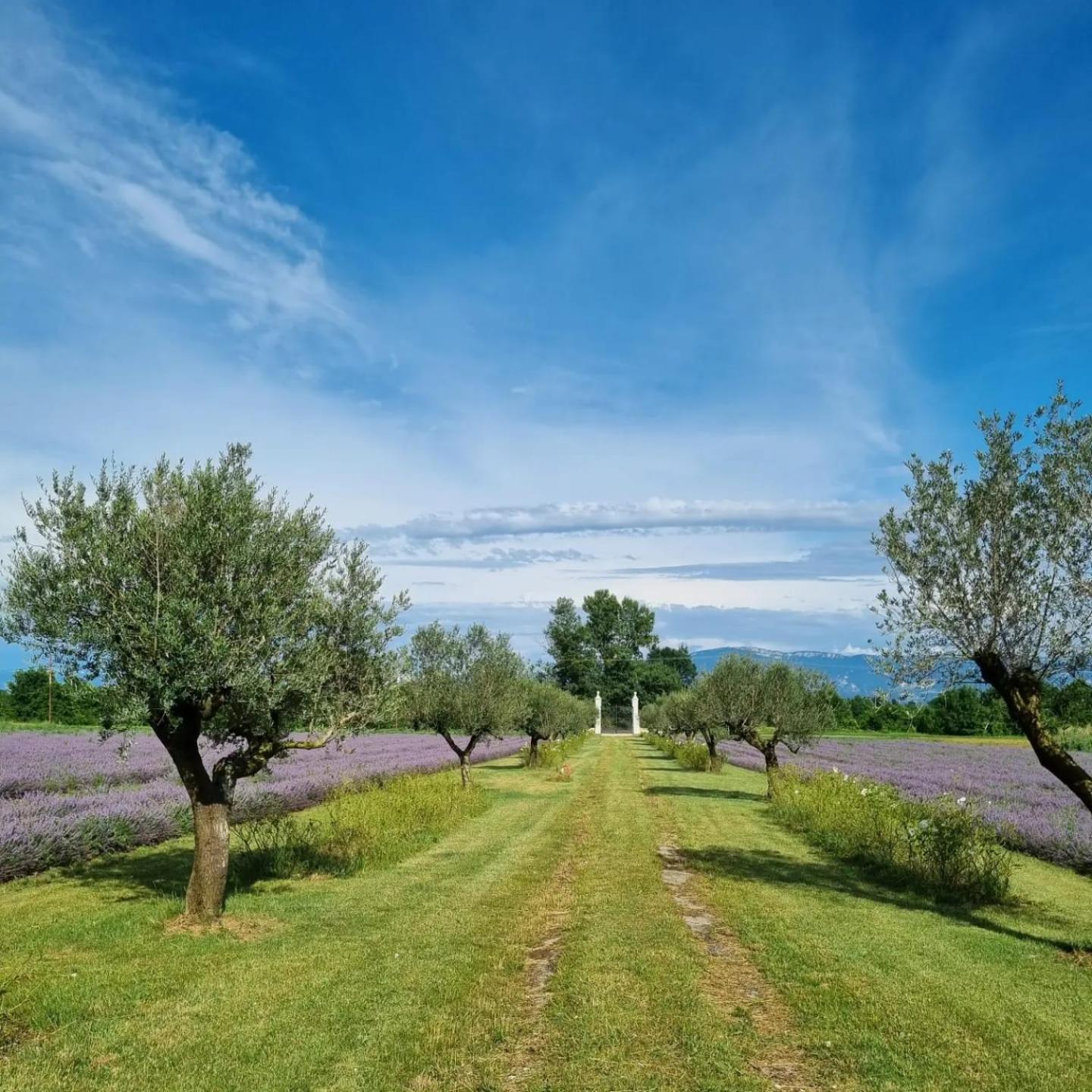 Domaine Des Balmes Βίλα Romans-sur-Isère Εξωτερικό φωτογραφία