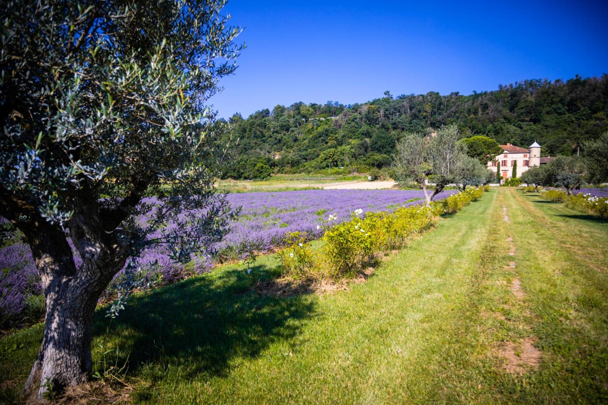 Domaine Des Balmes Βίλα Romans-sur-Isère Εξωτερικό φωτογραφία